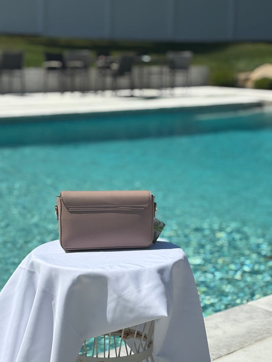 Badgley Mischka Bow Bag