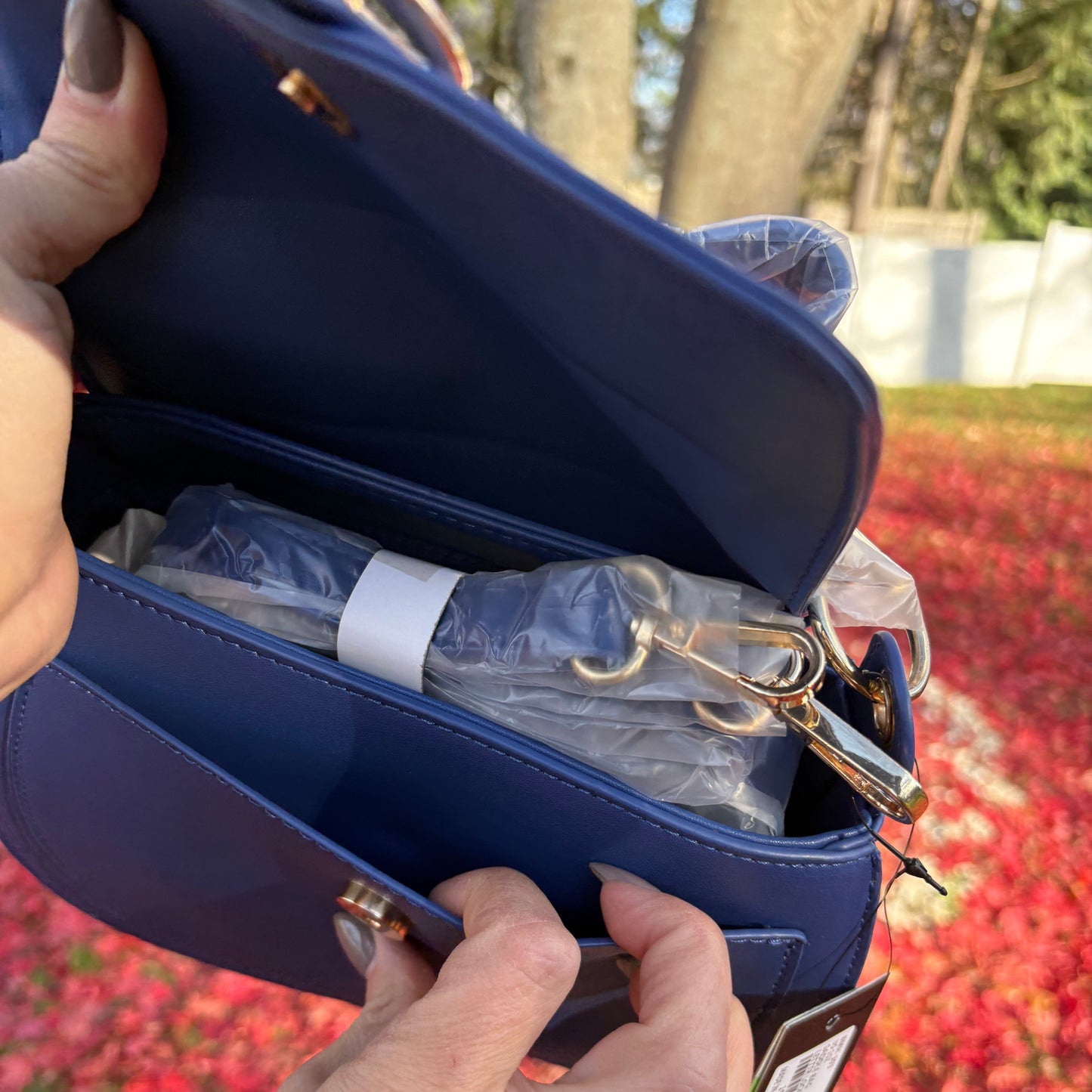 Badgley Mischka Blue Saddle Purse
