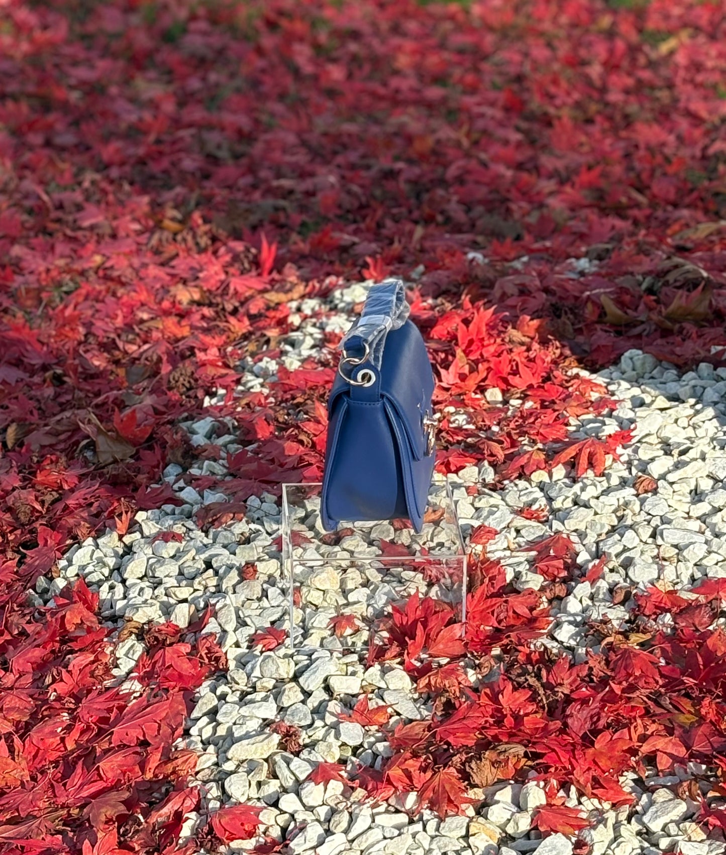 Badgley Mischka Blue Saddle Purse