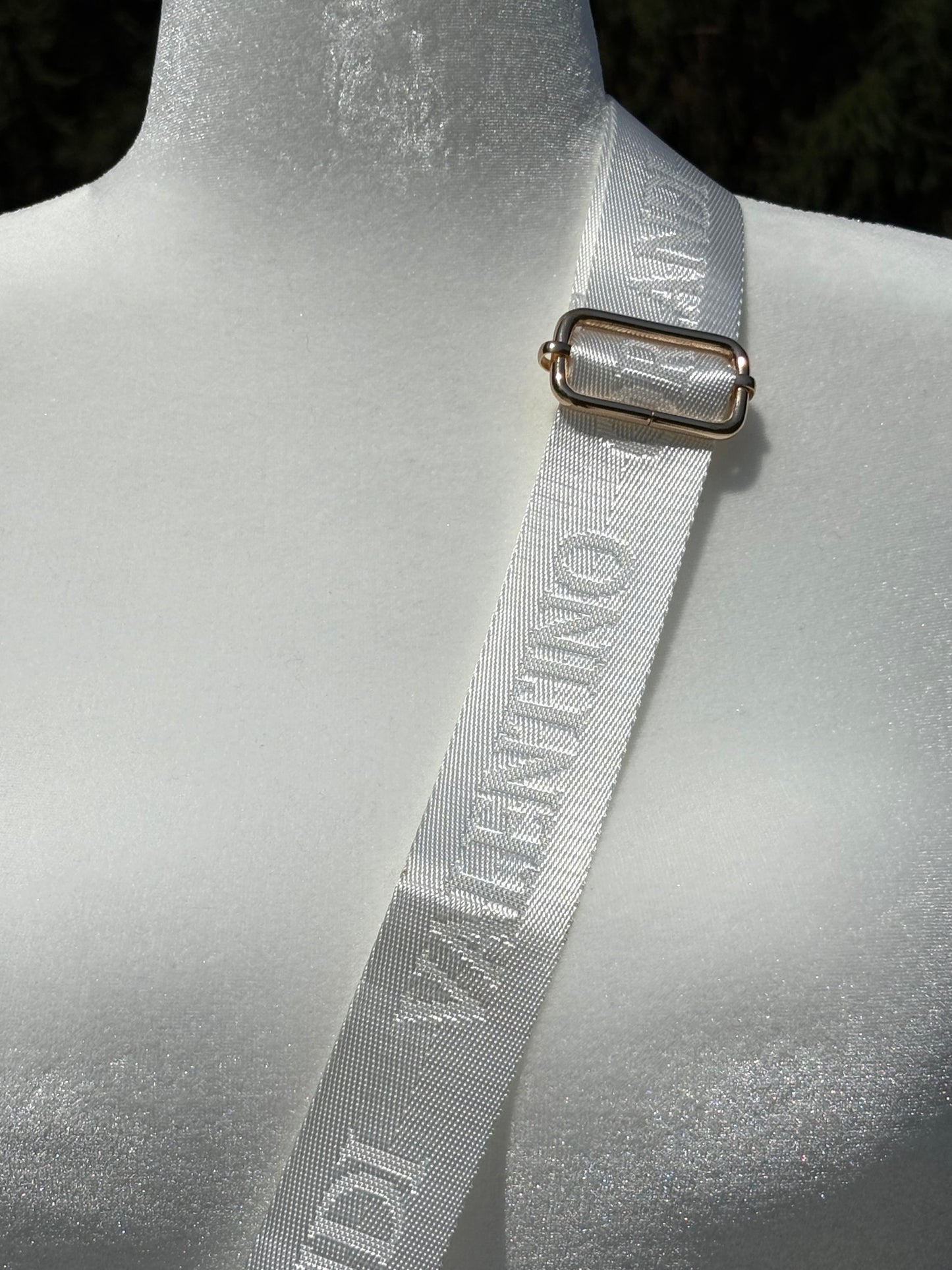 Valentino Orlandi Camera Bag