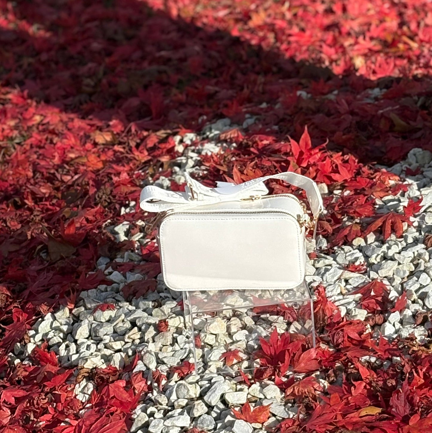 Valentino Orlandi Camera Crossbody Bag