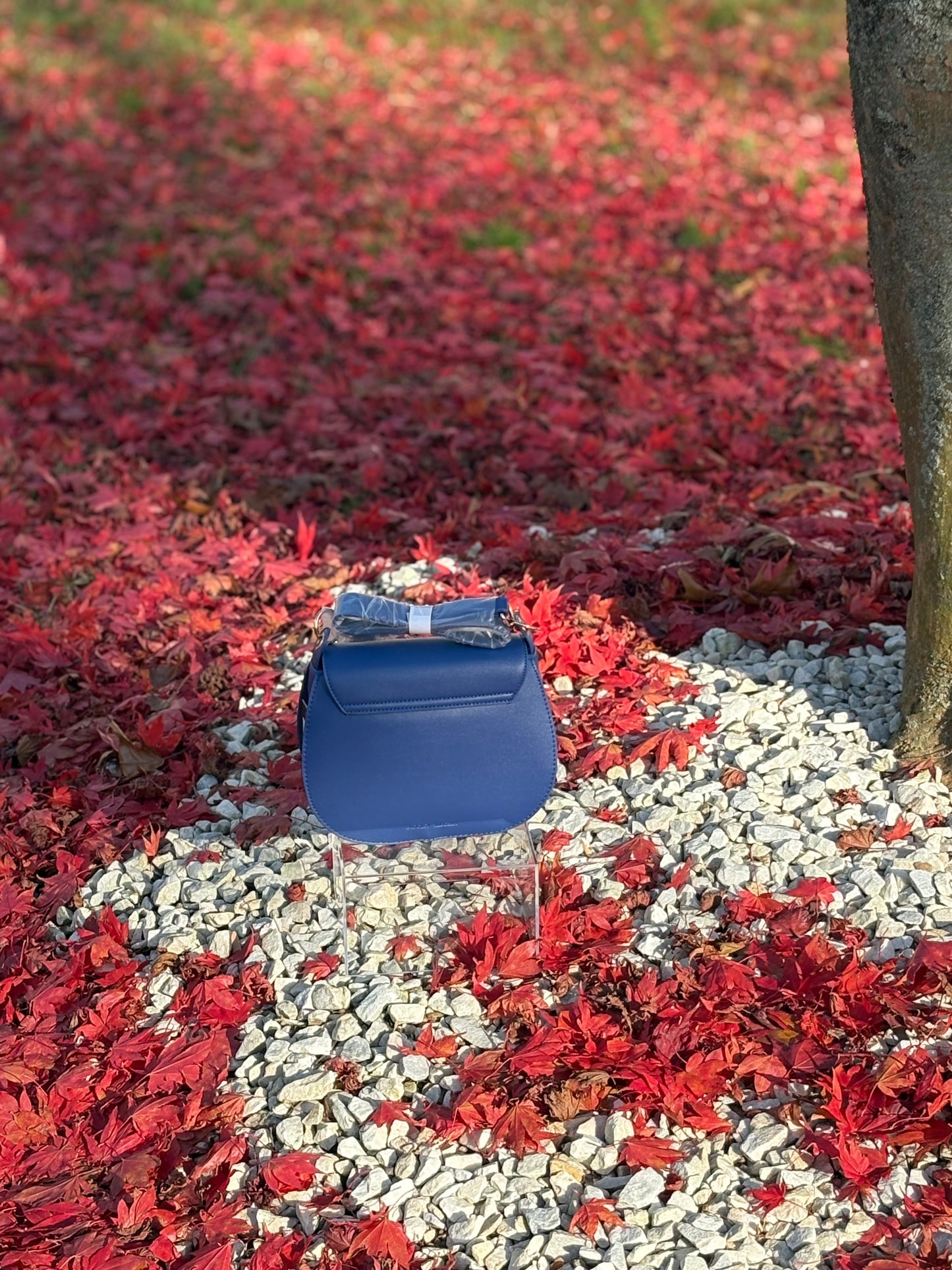 Badgley Mischka Blue Saddle Purse