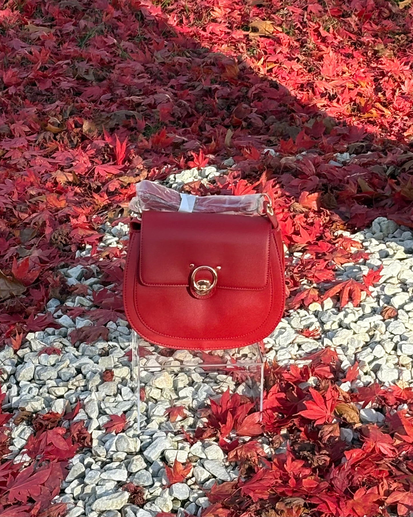 Badgley Mischka Red Saddle Purse