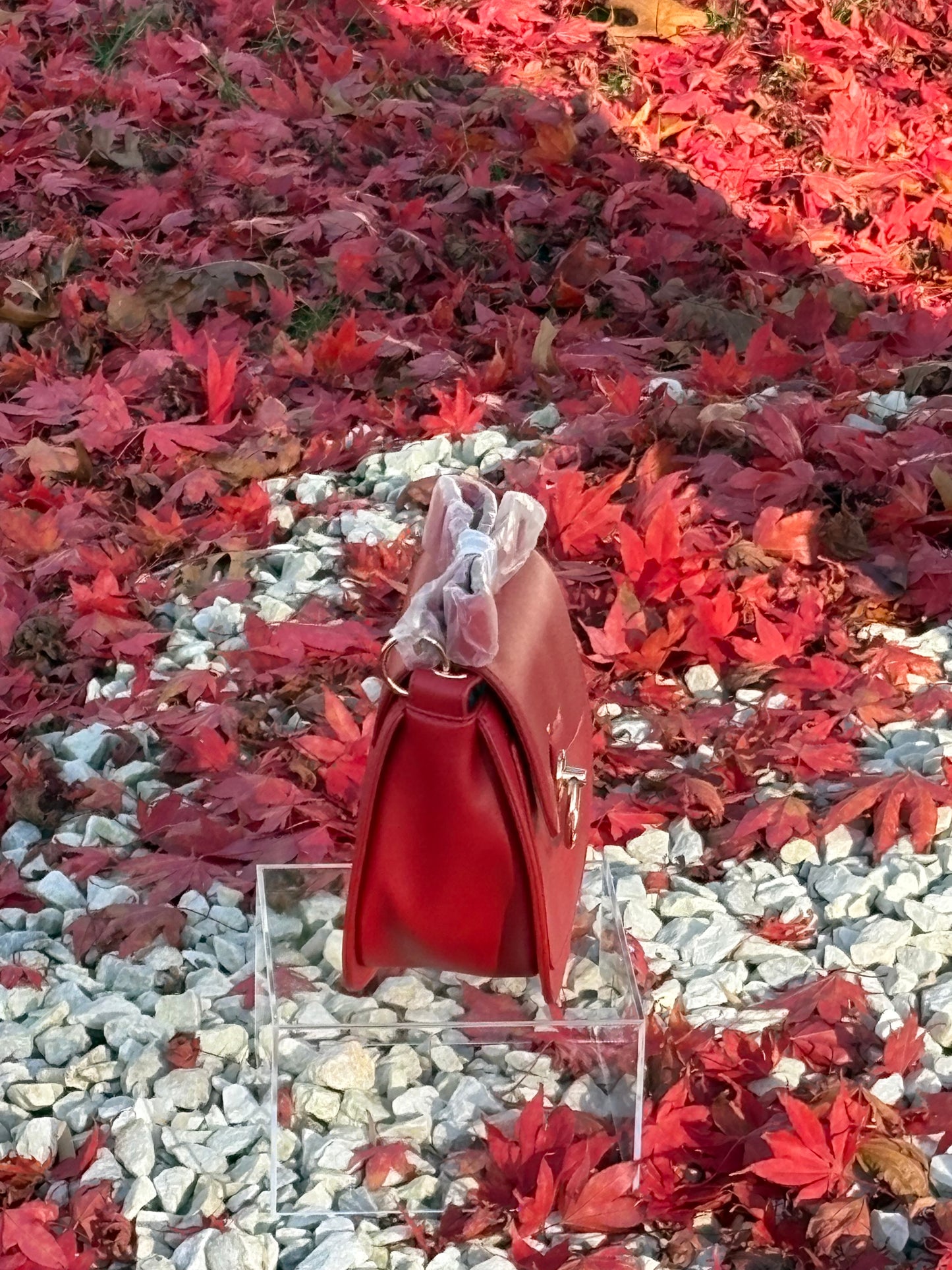 Badgley Mischka Red Saddle Purse