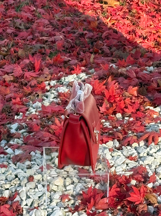 Badgley Mischka Red Saddle Purse