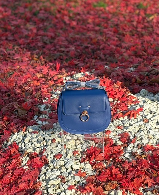 Badgley Mischka Blue Saddle Purse