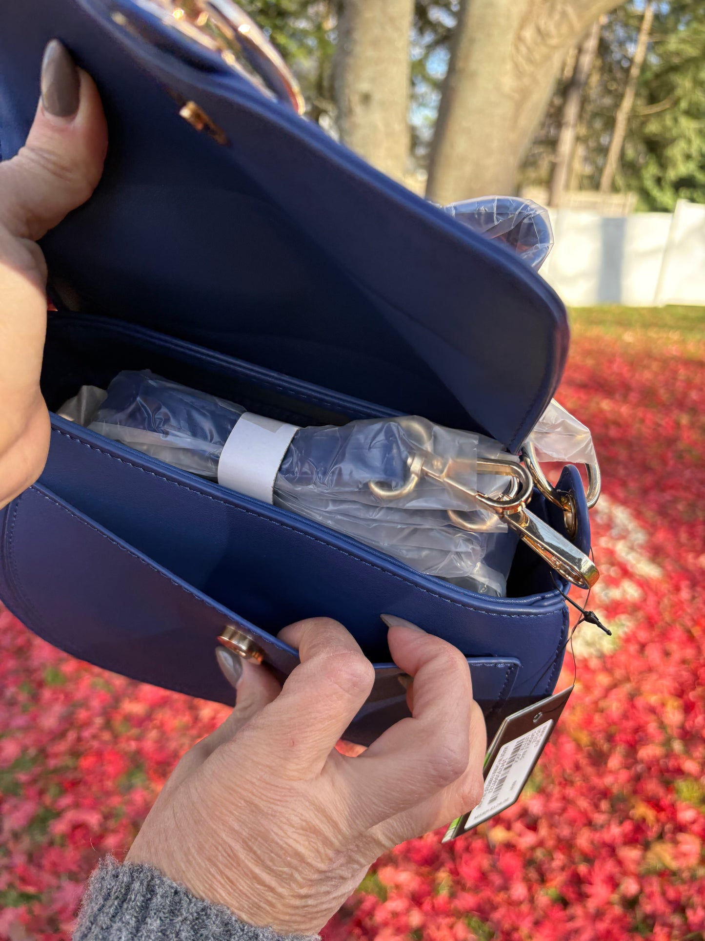 Badgley Mischka Blue Saddle Purse