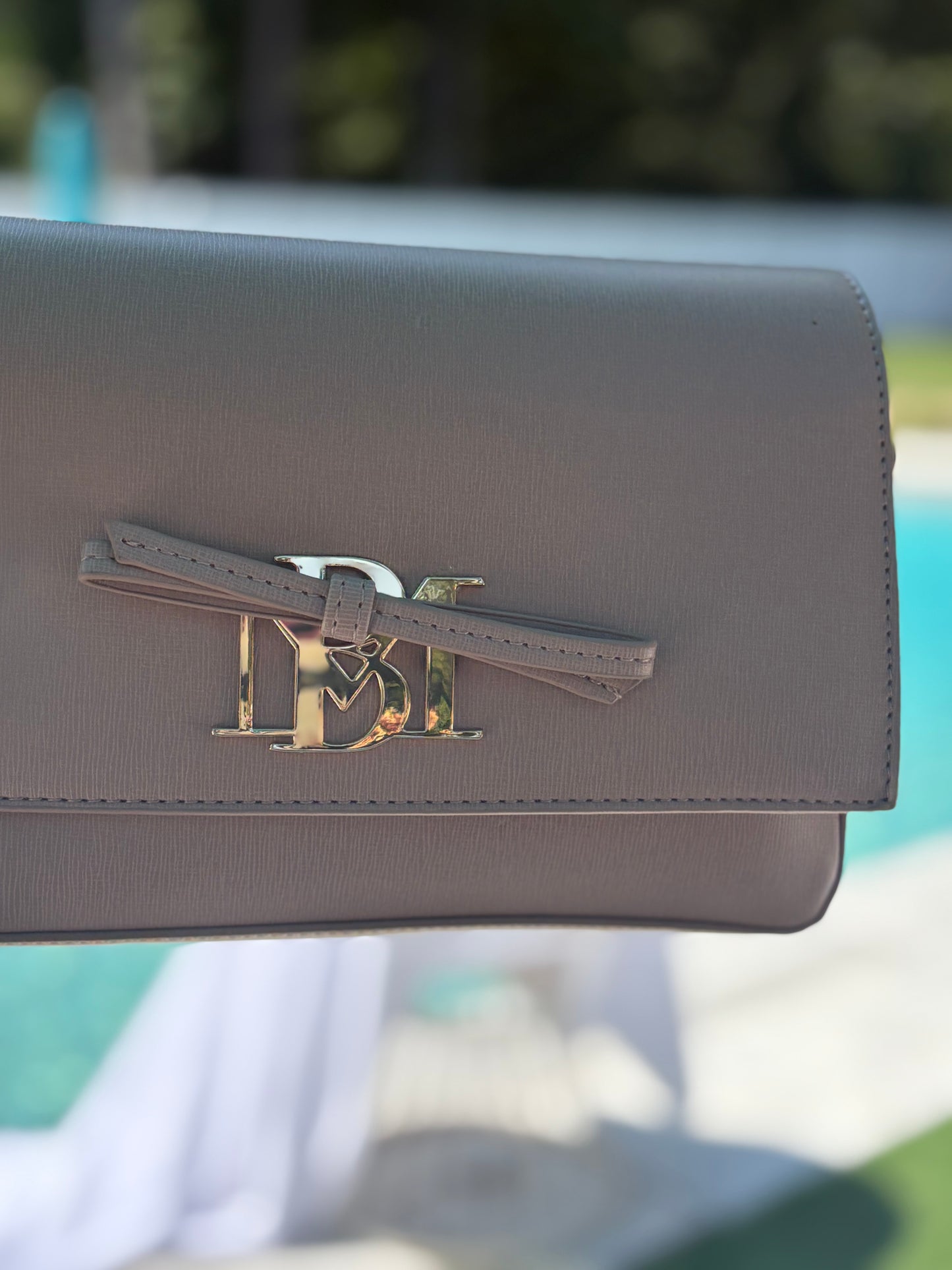 Badgley Mischka Bow Bag