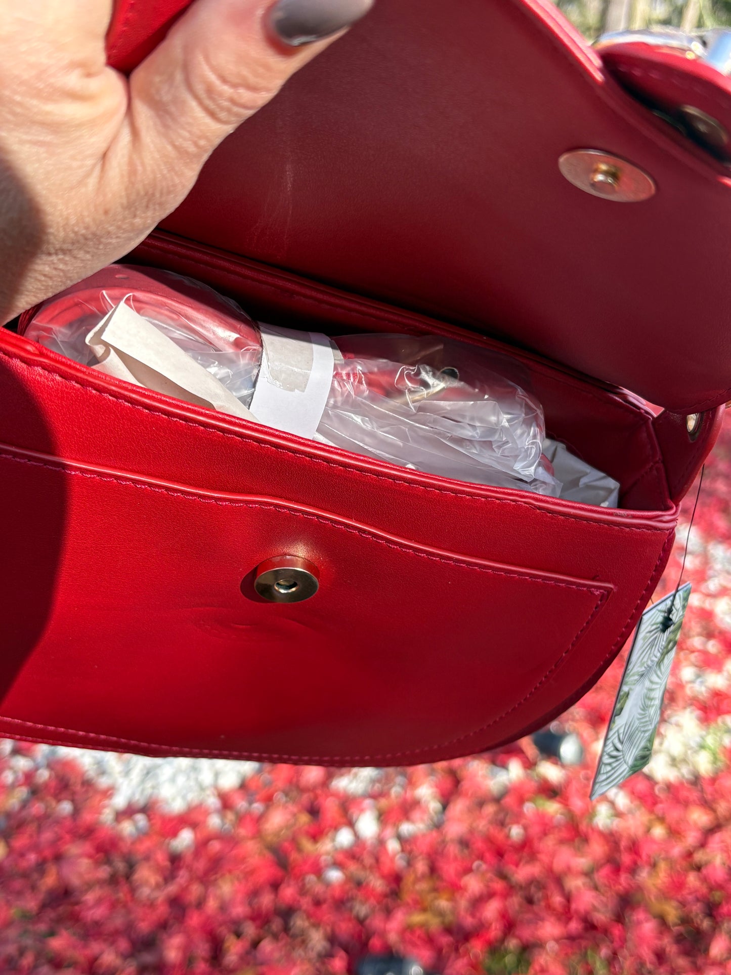 Badgley Mischka Red Saddle Purse