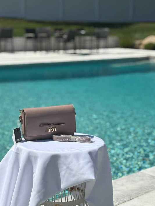 Badgley Mischka Bow Bag